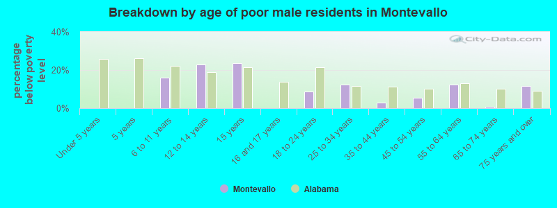 Breakdown by age of poor male residents in Montevallo