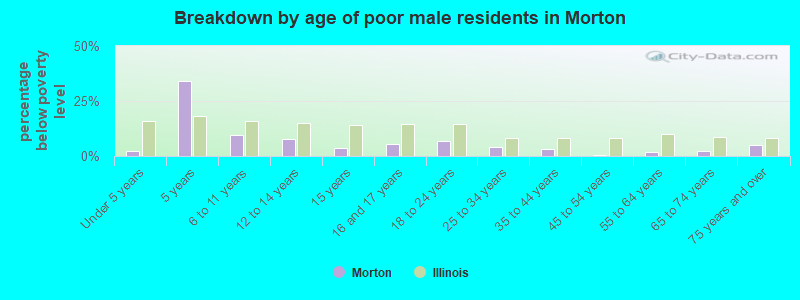Breakdown by age of poor male residents in Morton