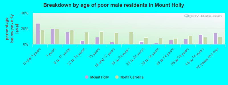Breakdown by age of poor male residents in Mount Holly