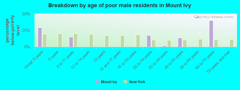 Breakdown by age of poor male residents in Mount Ivy
