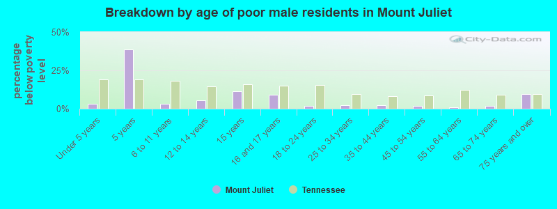Breakdown by age of poor male residents in Mount Juliet