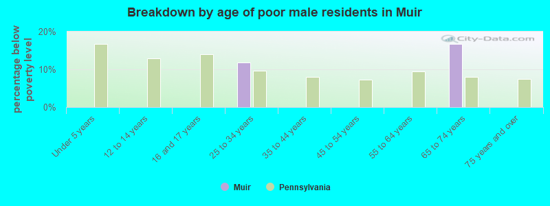 Breakdown by age of poor male residents in Muir