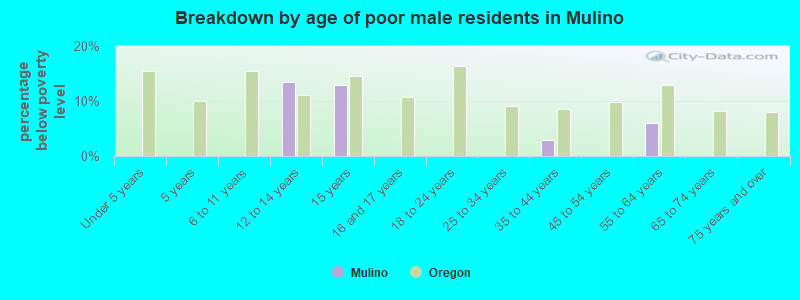 Breakdown by age of poor male residents in Mulino