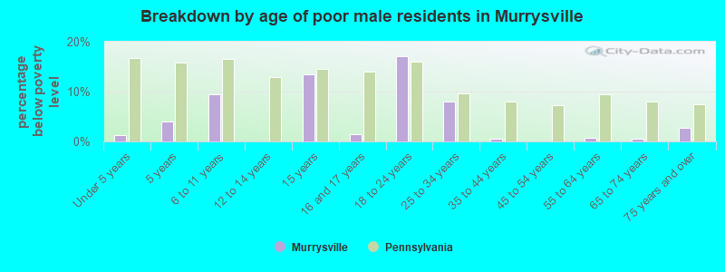 Breakdown by age of poor male residents in Murrysville