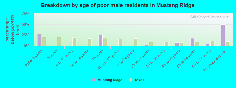 Breakdown by age of poor male residents in Mustang Ridge