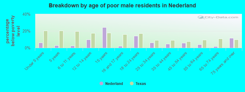 Breakdown by age of poor male residents in Nederland