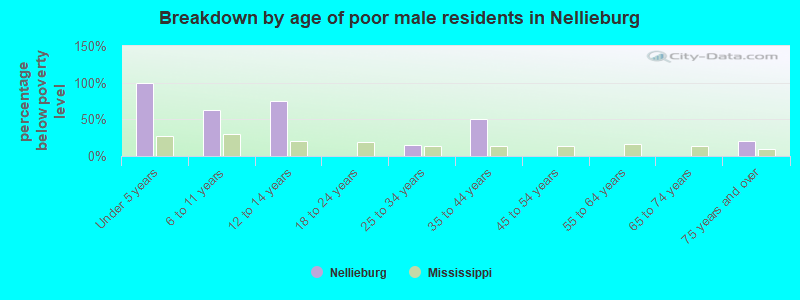 Breakdown by age of poor male residents in Nellieburg
