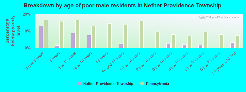 Breakdown by age of poor male residents in Nether Providence Township