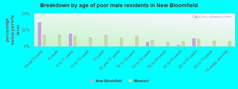 Breakdown by age of poor male residents in New Bloomfield