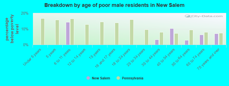 Breakdown by age of poor male residents in New Salem