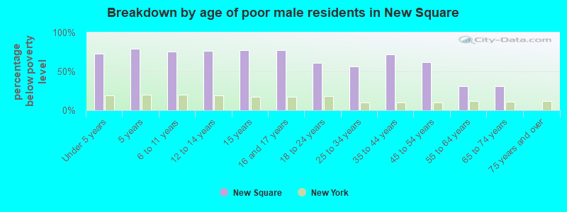 Breakdown by age of poor male residents in New Square