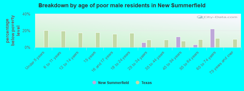 Breakdown by age of poor male residents in New Summerfield
