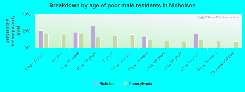 Breakdown by age of poor male residents in Nicholson
