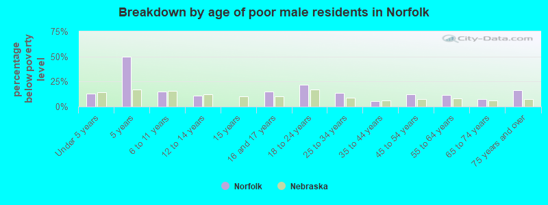 Breakdown by age of poor male residents in Norfolk