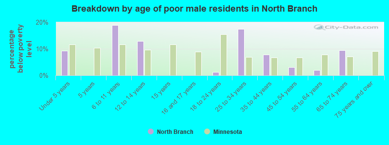Breakdown by age of poor male residents in North Branch