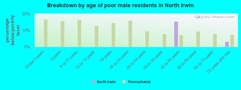 Breakdown by age of poor male residents in North Irwin