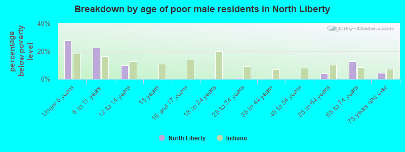 Breakdown by age of poor male residents in North Liberty