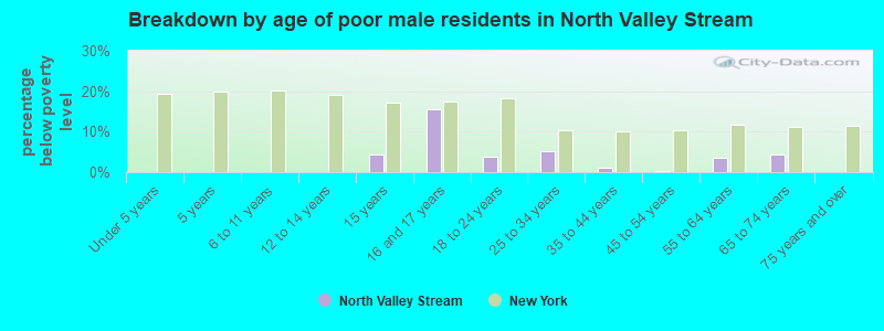 Breakdown by age of poor male residents in North Valley Stream