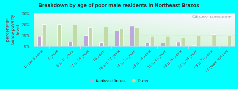 Breakdown by age of poor male residents in Northeast Brazos