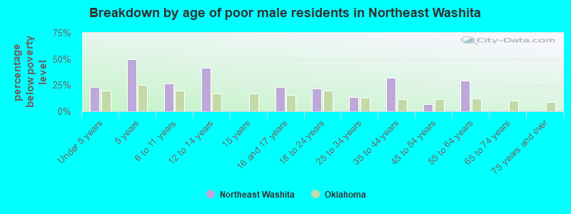 Breakdown by age of poor male residents in Northeast Washita