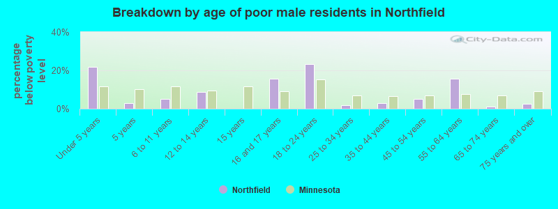 Breakdown by age of poor male residents in Northfield