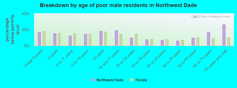 Breakdown by age of poor male residents in Northwest Dade