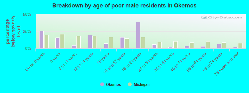 Breakdown by age of poor male residents in Okemos