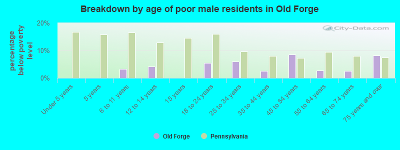 Breakdown by age of poor male residents in Old Forge