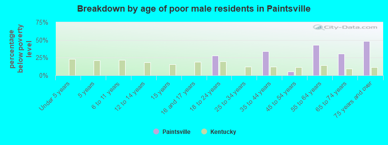 Breakdown by age of poor male residents in Paintsville