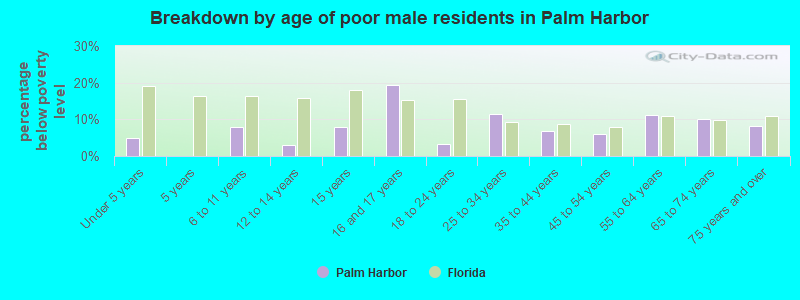 Breakdown by age of poor male residents in Palm Harbor