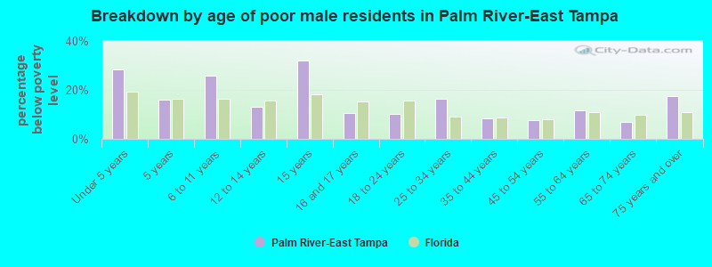 Breakdown by age of poor male residents in Palm River-East Tampa