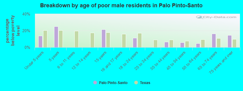 Breakdown by age of poor male residents in Palo Pinto-Santo
