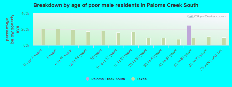 Breakdown by age of poor male residents in Paloma Creek South