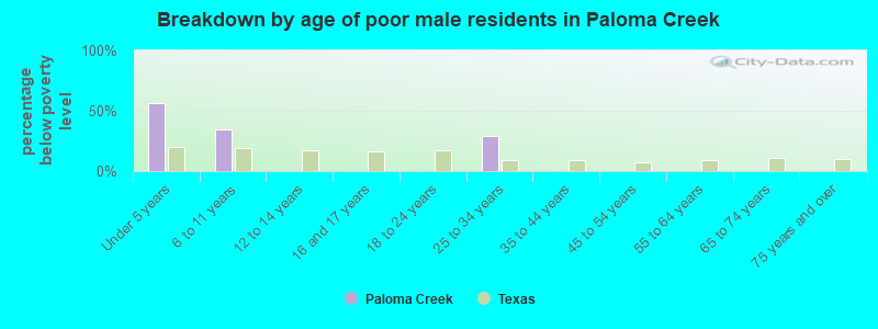 Breakdown by age of poor male residents in Paloma Creek