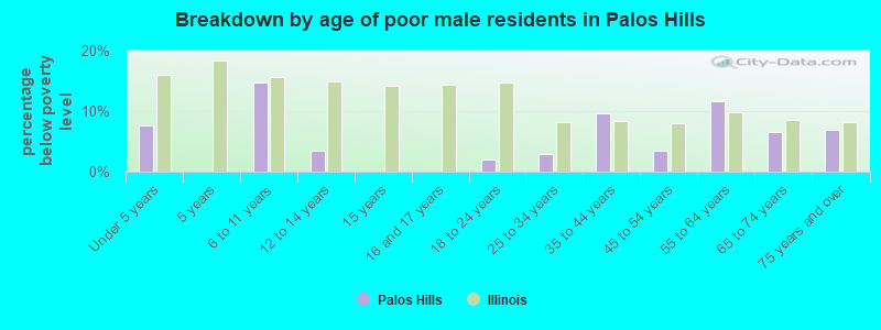 Breakdown by age of poor male residents in Palos Hills