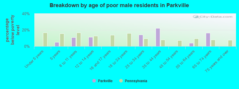 Breakdown by age of poor male residents in Parkville