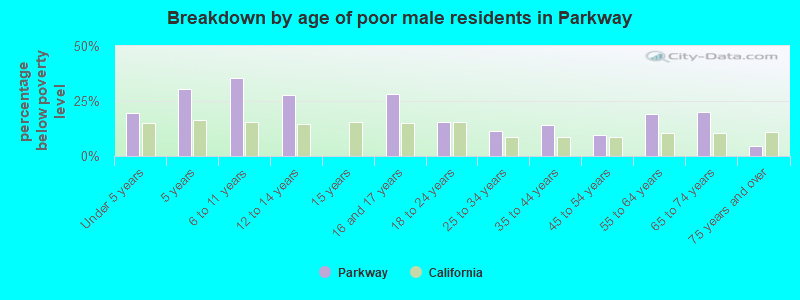 Breakdown by age of poor male residents in Parkway
