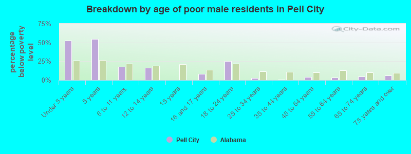 Breakdown by age of poor male residents in Pell City