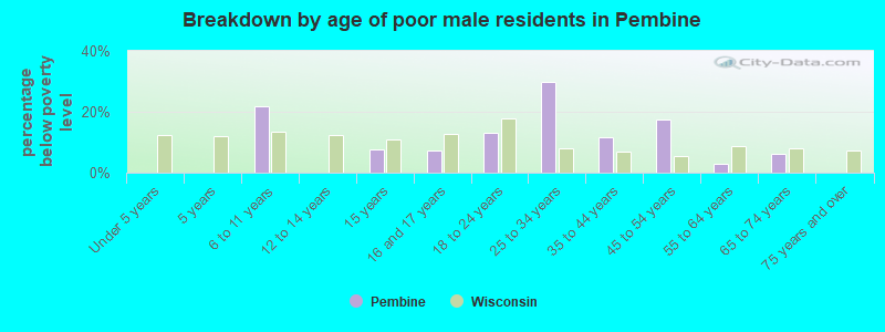 Breakdown by age of poor male residents in Pembine