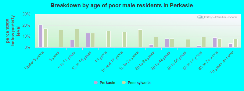 Breakdown by age of poor male residents in Perkasie