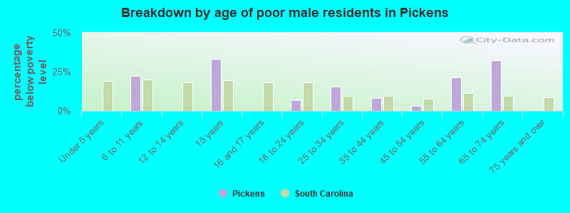 Breakdown by age of poor male residents in Pickens