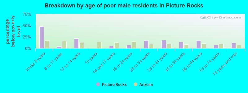 Breakdown by age of poor male residents in Picture Rocks