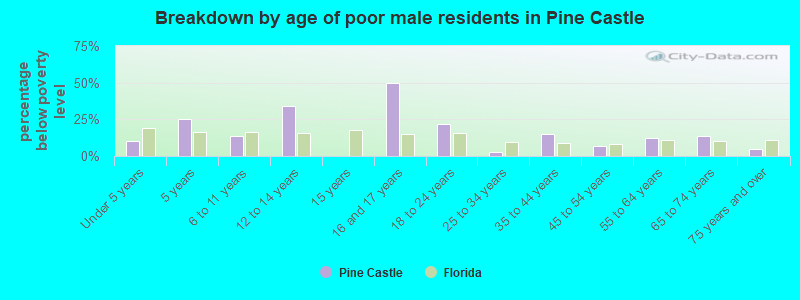 Breakdown by age of poor male residents in Pine Castle