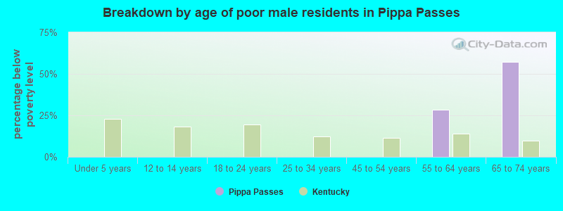 Breakdown by age of poor male residents in Pippa Passes