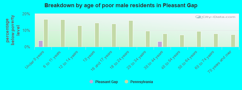 Breakdown by age of poor male residents in Pleasant Gap
