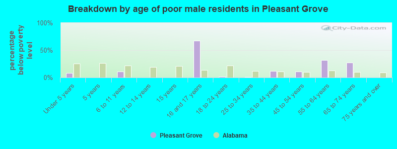 Breakdown by age of poor male residents in Pleasant Grove