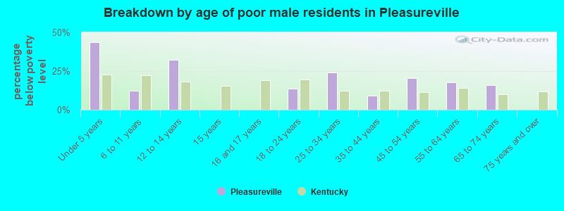 Breakdown by age of poor male residents in Pleasureville