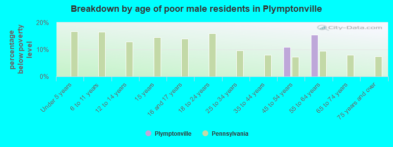 Breakdown by age of poor male residents in Plymptonville