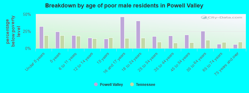 Breakdown by age of poor male residents in Powell Valley