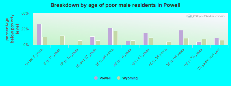 Breakdown by age of poor male residents in Powell